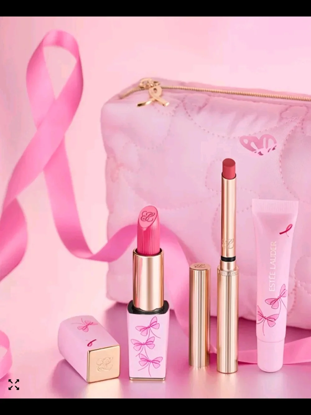 Estée Lauder Transforming Hope Lip Set AND 3 Lancôme products